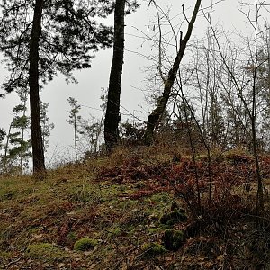 Vladimír Grančay na vrcholu Jarošův vrch (1.3.2024 14:48)