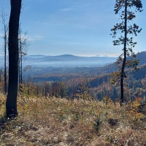 Ila na vrcholu Plenisko (24.10.2024)