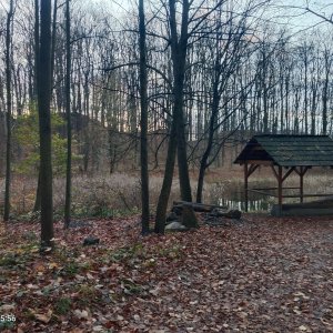 Zdena Trommler na vrcholu Šostýn (15.11.2024 16:00)