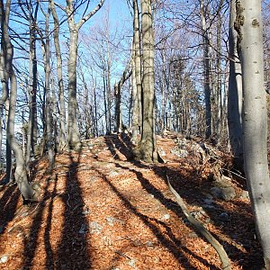 Rastislav Biarinec na vrcholu Malý Smrekovec (16.11.2018 13:14)