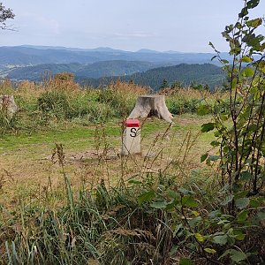 Jana F na vrcholu Javorník pod Černíkovem (27.8.2022 10:12)