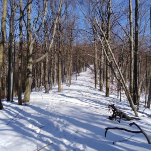 Jozef Farkaš na vrcholu Tri tably (16.2.2019 11:28)