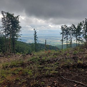 Mykas na vrcholu Szeroka (22.6.2024 9:54)