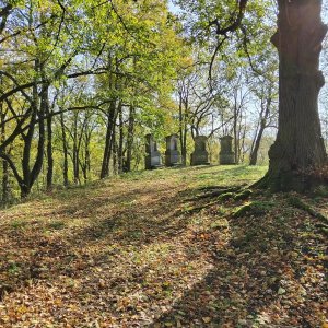 Jiří Škorec na vrcholu Horka (25.10.2024 11:36)