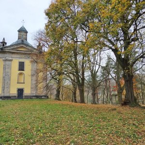 Jiří Škorec na vrcholu Horka (31.10.2024 12:39)