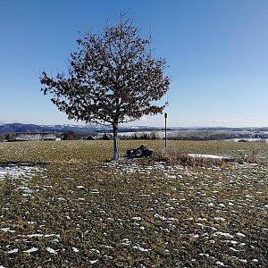 Vladimír Grančay na vrcholu Dlouhý vrch (12.2.2022 12:34)