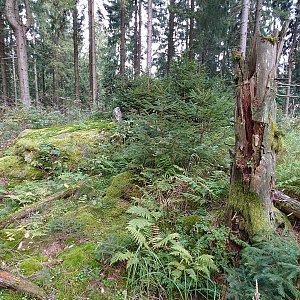 Nojby na vrcholu Wölfeberg  (19.9.2023 12:07)