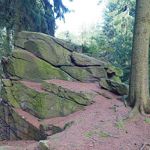 Nojby na vrcholu Hirtstein (26.9.2023 11:50)