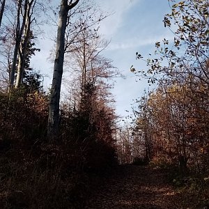 Jiřina na vrcholu Konihlava (1.11.2022 12:44)