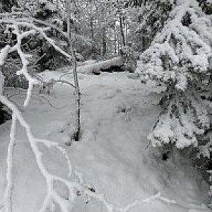 Gregořicovi na vrcholu Konihlava (16.12.2023 10:01)