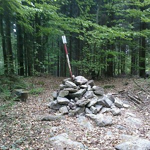 Fin na vrcholu Čeřínek (20.5.2017 11:57)