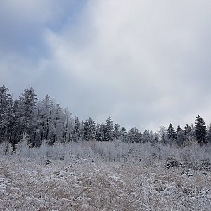 Marcela Kubíčková na vrcholu Tanečnice (19.11.2022 10:10)