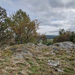 Nojby na vrcholu Ziegenberg (19.10.2023 15:24)