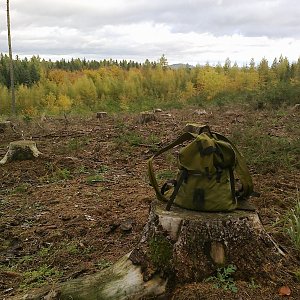 Fin na vrcholu Hřeben (28.10.2023 16:52)