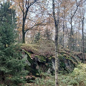 Nojby na vrcholu Windberg (16.11.2023 13:15)