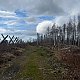 Mertelici na tripu na vrcholu Olšina (16.3.2024 14:05)