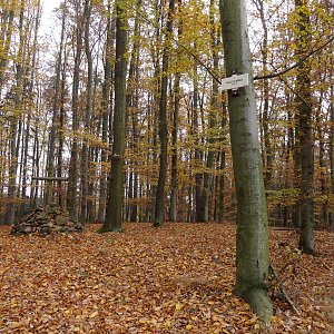 Norbert Mogyorósi na vrcholu Klucanina (16.11.2016 10:05)