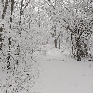 Jozef Farkaš na vrcholu Pohanská S vrchol (19.1.2020 12:20)