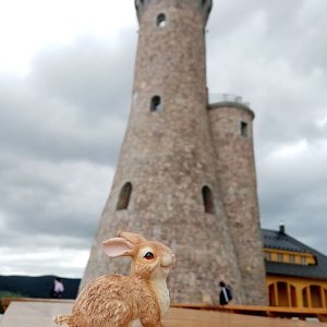 Jiřina na vrcholu Větrov (27.5.2022 11:05)