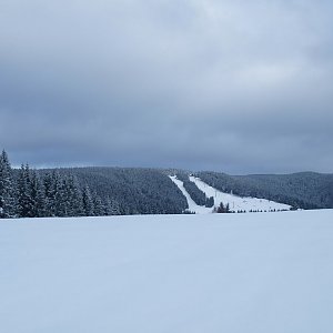 krupjan na vrcholu Větrov (1.12.2013 10:53)