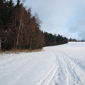 krupjan na vrcholu Starý kopec (1.12.2013 10:26)