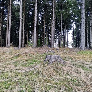 Šárka na vrcholu Nad Polanou Z (16.9.2022 13:51)