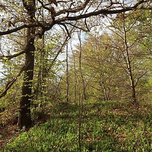 Bouřka na vrcholu Za pastuškou (26.4.2024 17:31)