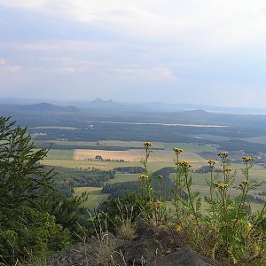 Badger na vrcholu Ralsko (4.7.2018 17:00)