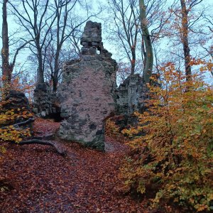 Václav Toth na vrcholu Děvín (30.10.2024 15:49)