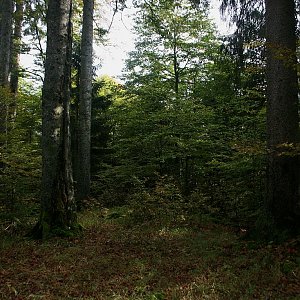 Bouřka na vrcholu Nad Rakouskou cestou (16.10.2016 9:54)