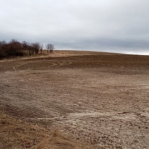 Jiřina na vrcholu Kamenec (3.2.2024 14:34)