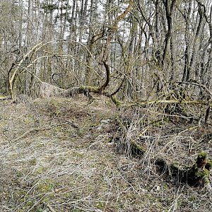 Vladimír Grančay na vrcholu Hůrka (14.2.2024 12:11)