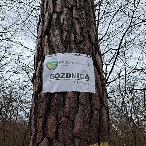 Anna na vrcholu Gozdnica (26.2.2024)