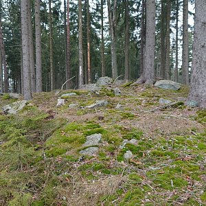 Nojby na vrcholu Nad Lomem SZ (26.2.2024 12:47)