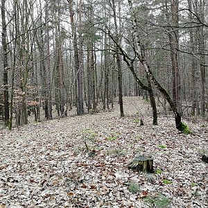 Vladimír Grančay na vrcholu Nad sv. Ludmilou (7.3.2024 15:46)