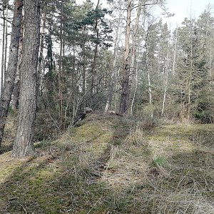 Vladimír Grančay na vrcholu Na Stranách (20.3.2024 13:47)