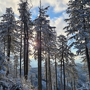 Katka na vrcholu Nad Kršlí (9.1.2021 14:10)