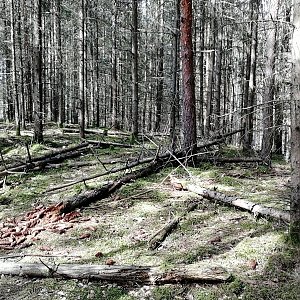 Vladimír Grančay na vrcholu Ve Vrchu (27.3.2024 11:20)