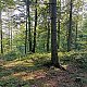 Šárka na vrcholu Beskid (15.8.2021 17:06)