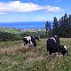 Jirka Zajko na vrcholu Pico da Vara (26.7.2024 13:47)