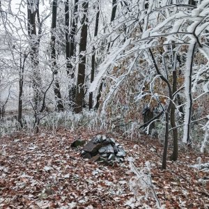 Zdena Trommler na vrcholu Červený kámen Z (13.11.2024 15:20)