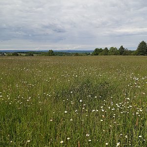 ZdenkaV na vrcholu Babí hora S (6.5.2024 13:26)