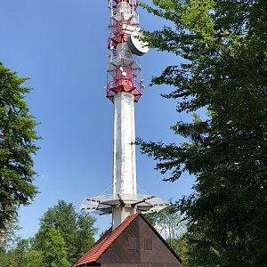 koc256 na vrcholu Červená hora (27.5.2018 14:05)