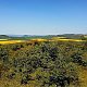 Torr na vrcholu Břvanský vrch S (30.4.2024 14:10)