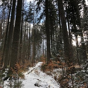 Martin Petřík na vrcholu Šindelná (17.4.2022 15:35)