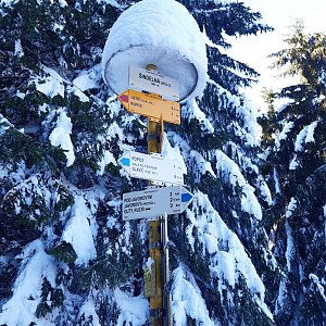 ZdenkaV na vrcholu Šindelná (15.2.2023 13:34)