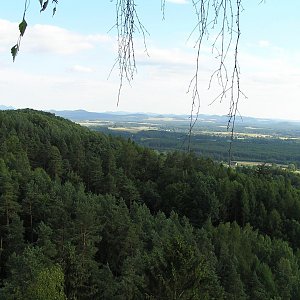 Badger na vrcholu Slavíček (5.7.2018 18:00)