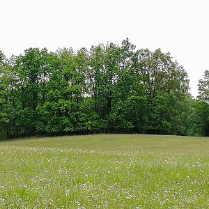 Vladimír Grančay na vrcholu Nad Záleší - S vrchol I (8.5.2024 12:26)