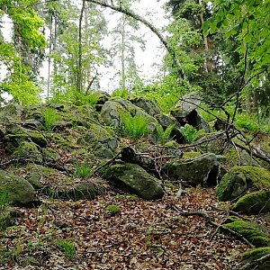 Vladimír Grančay na vrcholu Kočičina - J vrchol (9.5.2024 14:07)