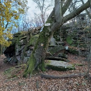 Luky na vrcholu Tisá skála (22.11.2024 13:45)